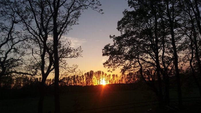 Solnedgång med silhuetter av träd och glödande himmel.