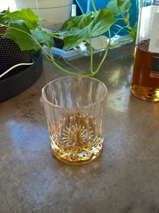 Ett whiskyglas med guldryck på en arbetsyta, med otydlig flaska i bakgrunden och växter längst fram.