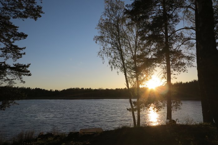 Solnedgång över en sjö med silhuett av träd och solens reflektion på vattenytan.