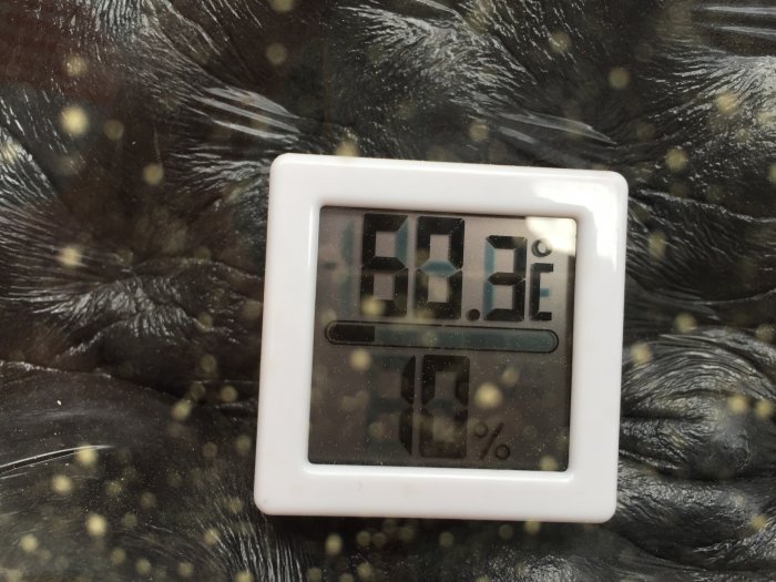 Termometer visar 60.3 grader Celsius, placerad på en svart underlag med genomskinliga prickar.