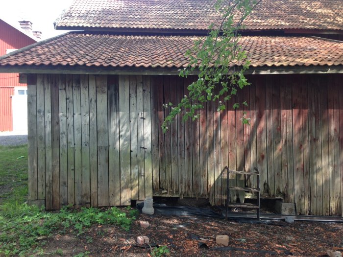 Förfallet uthus med ojämn träpanel och sliten takpannor, står på betongfundament, omgivet av grönska.