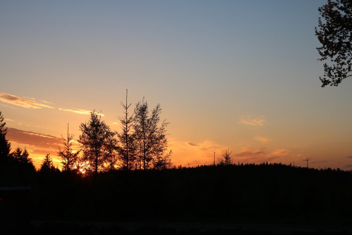 Skymningsvy med silhuett av träd mot en färggrann himmel vid solnedgång.