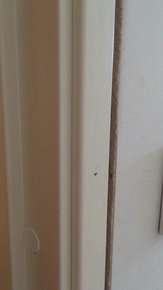 Nymålad dörrkarm och ofärdig vägg med synligt trä och spik, redo för vidare renovering.