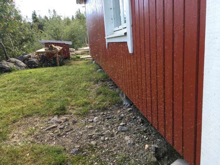 Vit och röd husvägg med små svärmande insekter och döda insekter på fönsterblecket.