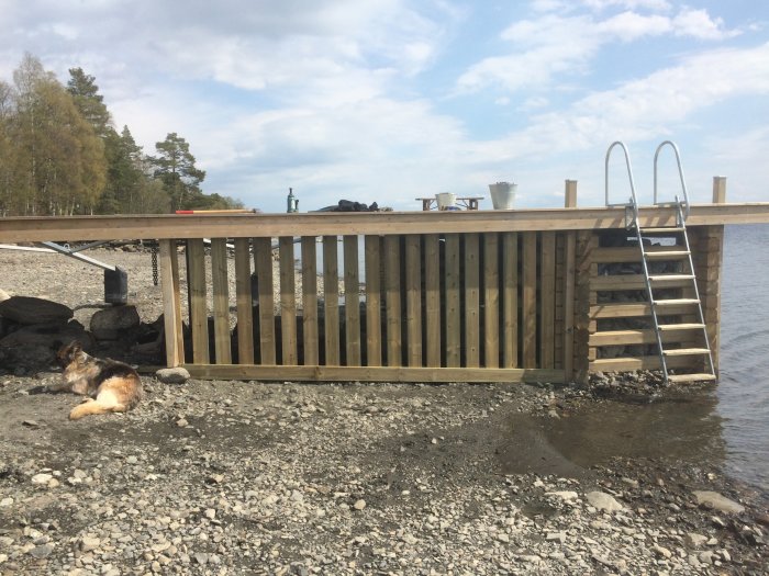 Nybyggd träbrygga vid sjö med badstege och en hund som vilar på grusstranden.