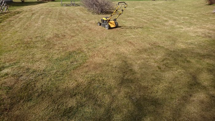 Åkklippare på en nyröjd gräsmatta med spår av mossa och gräsklipp.