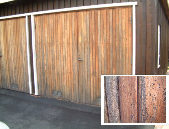 garage_004.jpg