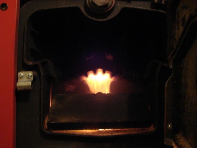 DSC02236.jpg
