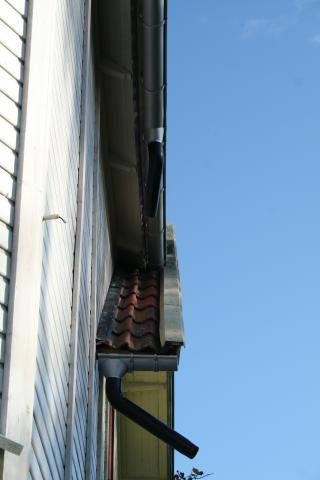 IMG_4271.jpg
