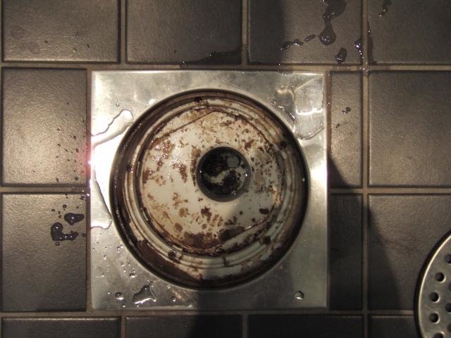 DSCF1749.jpg