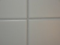 DSCN0646.JPG