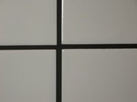 DSCN0647.JPG