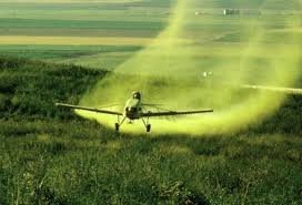 Ett litet flygplan som sprayar växtskyddsmedel över åkermark.