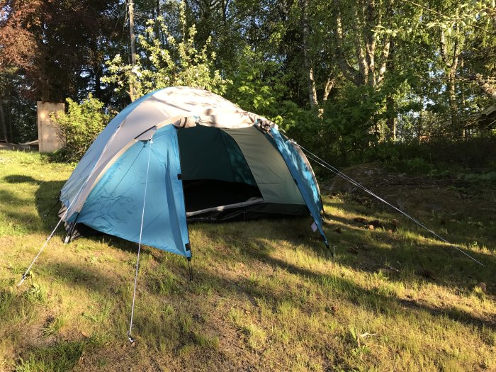 Ett blått och grått tält uppsatt på en solig gräsmark med träd i bakgrunden.