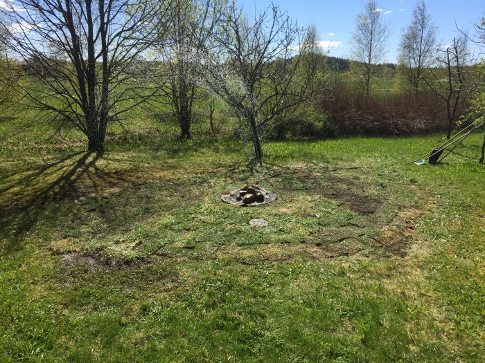 Omarrangerad gräsmatta med upphöjd mark nära brunnen och nyplanterat område för jordgubbar, med skottkärra i bakgrunden.