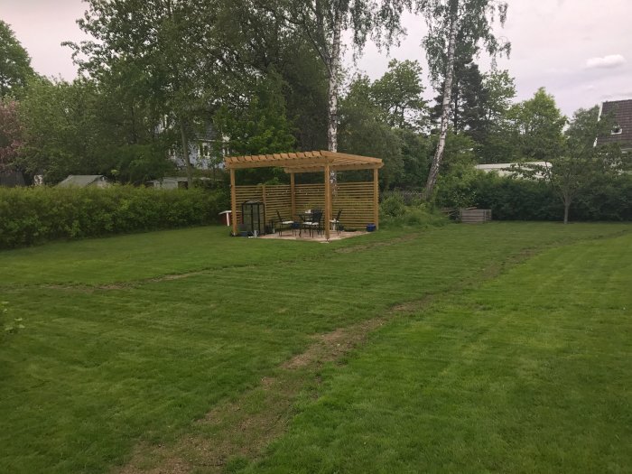 Nylagd gräsmatta med en pergola och ojämna kanter där gräs saknas i en trädgård.