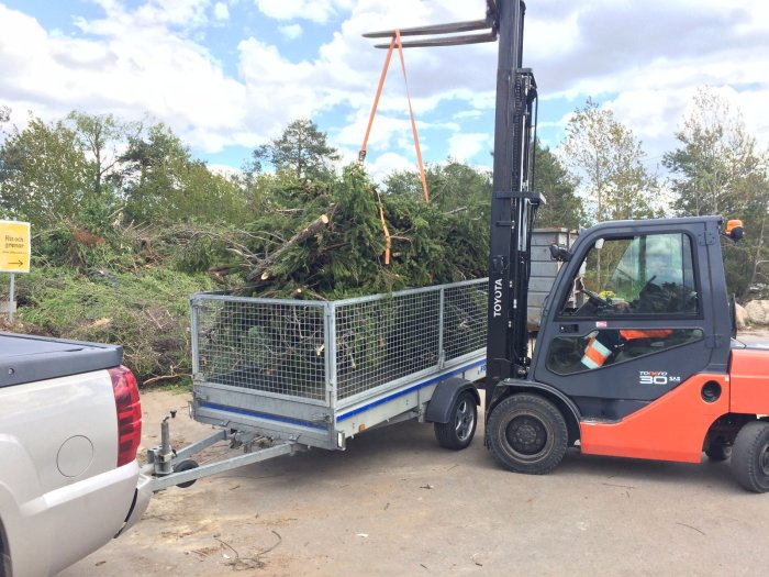 Gaffeltruck som lyfter grenar och löv från släpvagn vid återvinningscentral.