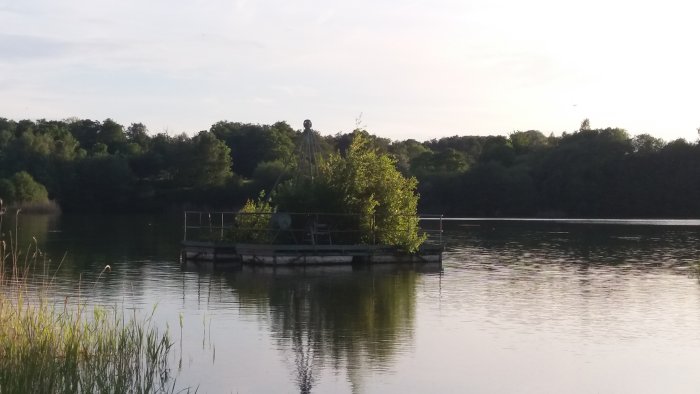 En lugn sjö vid skymningen med en brygga och grönskande buskar i bakgrunden, inga människor syns.