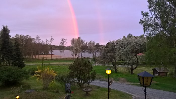 Tidig morgonutsikt från ett fönster med rosa-gul himmel och två regnbågar över ett landskap med sjö.