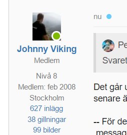 Användarprofil med avatarbild, användarinformation och exempel på CSS-kod från ett forum.
