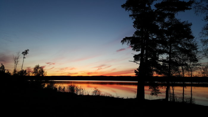 Kvällsvy över en stilla sjö med spegelblank yta under en färgrik solnedgång, omgivet av silhuetter av träd i Jämtland.