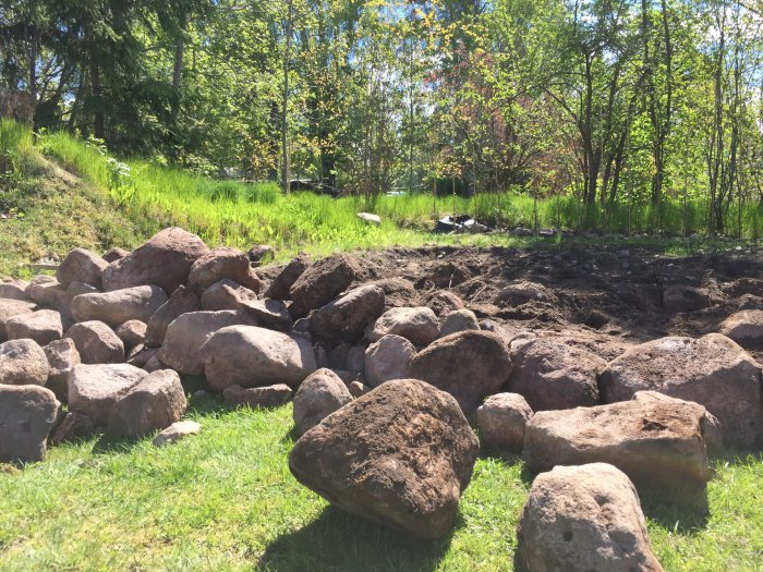 Grönskande trädgård med gräsmatta och en hög med stora stenar i framkant, tyder på trädgårdsarbete.