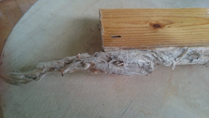 Träbit med fäst luddliknande material som kan vara en insektslarv eller bo.