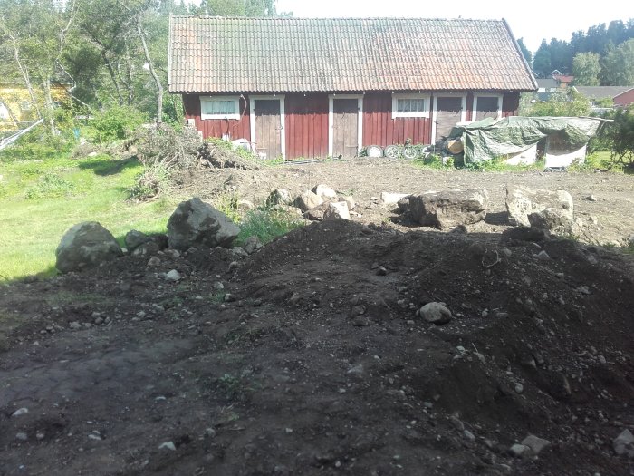 20170611_095644.jpg