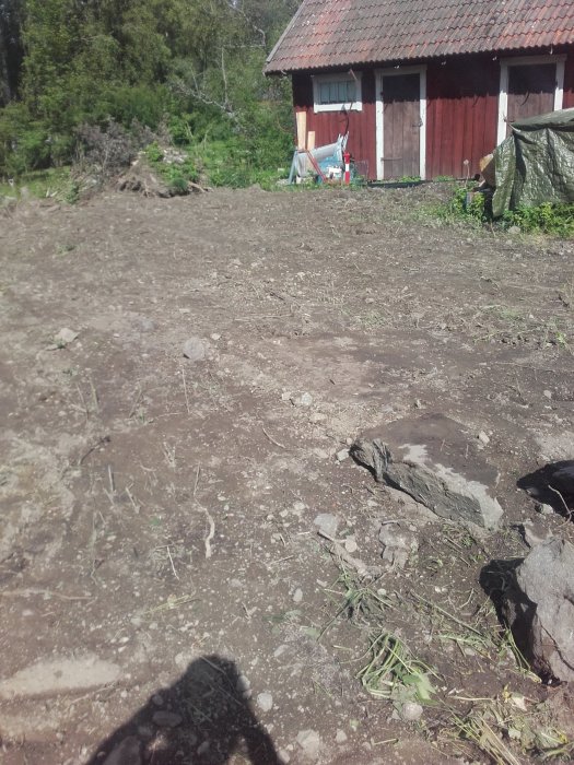 20170611_095737.jpg