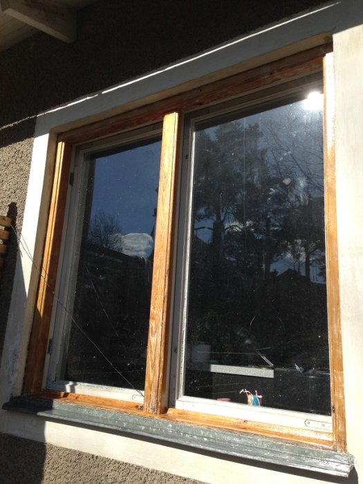 Ett träfönster behandlat med rå linolja, med spegelbilder av träd och himmel i rutan, indikerar fasadrenoveringsarbete.