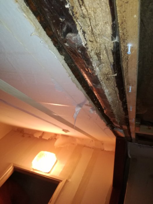 Takstolar och bjälkar inomhus med synliga skador och förstärkningar, längs med ett spikat golv och en taklampa.