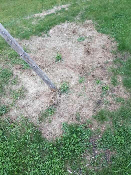 Gräsmatta med stora döda, brunaktiga fläckar blandat med grönt gräs, föreslår skador.