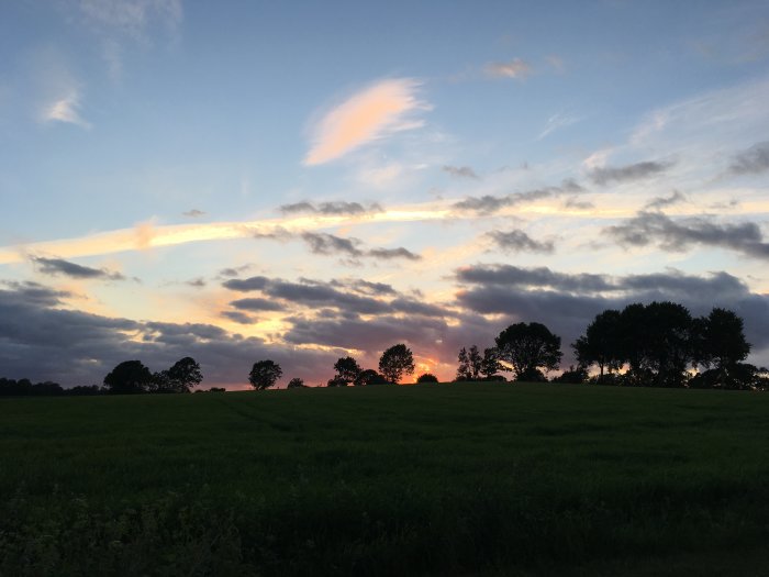 Solnedgång med färgglada skyar över ett grönt fält och trädens silhuetter.