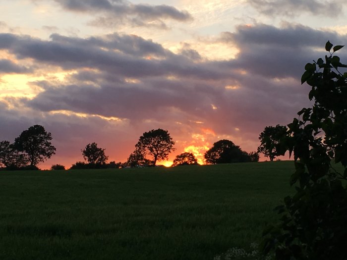 Solnedgång med livliga färger bakom silhuetter av träd mot en dramatisk molnhimmel.