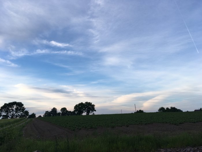 Kvällshimmel med ljusblå toner och mjuka moln över landskap med träd och åker.