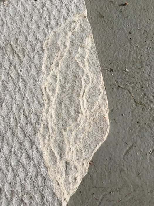Närbild på en ljusfiberplatta med möjlig likhet till eternit, mot en betongyta.