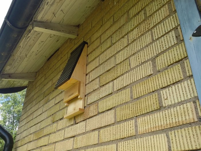 Fladdermusholk monterad på gul tegelvägg under takfot på en veranda.