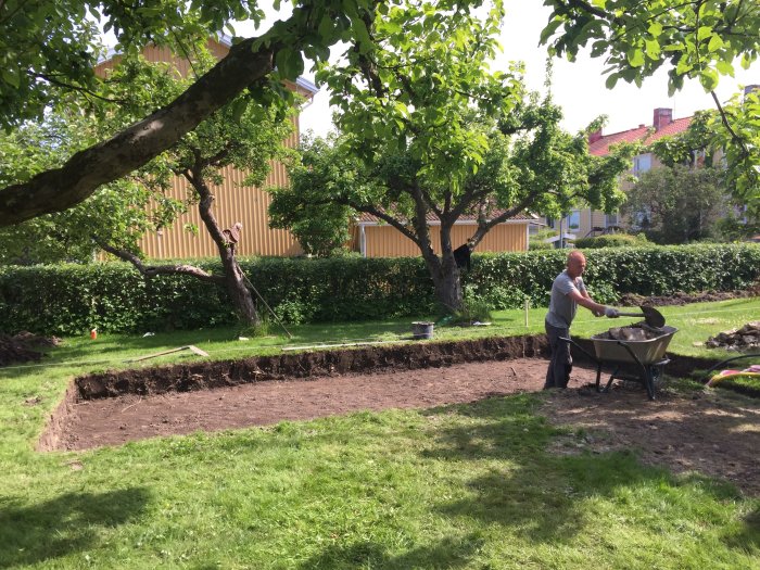 Person förbereder marken för attefallshus genom att gräva och köra bort jord med skottkärra.