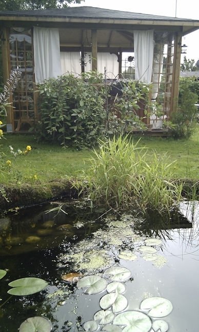 Pergola med vitgardiner vid damm med näckrosor som exempel för vindskydd vid fritidshus.