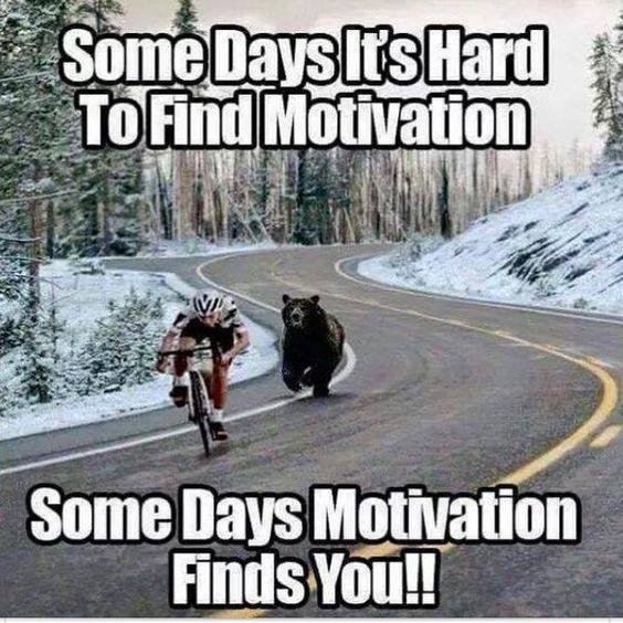 Cyklist på snötäckt väg följd av en björn, humoristisk bild med motivationstext.