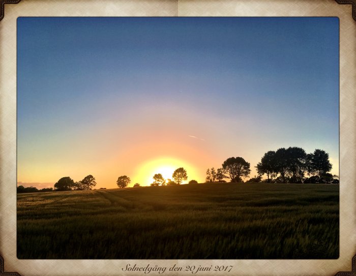 Solnedgång över ett fält med längre gräs och silhuetter av träd mot en färgrik himmel, textnedanför "Solnedgång den 20 juni 2017".