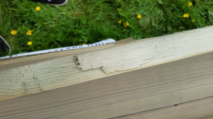 20170618_135305.jpg