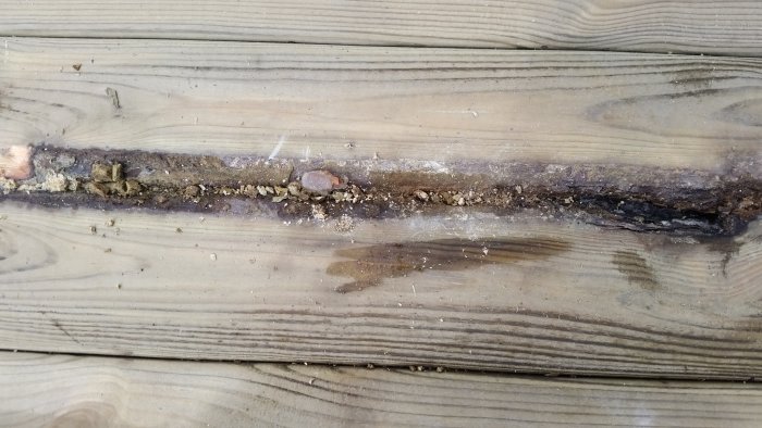 20170618_135235.jpg