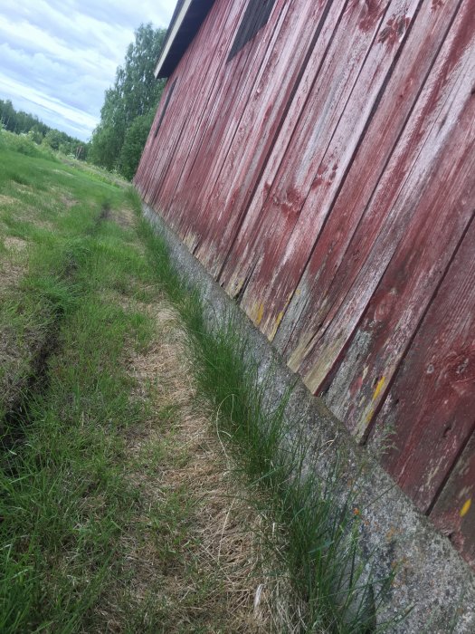 Skadat innertak i en tegelbyggnad med fuktfläckar synliga på innersidan av ett böjt tak.