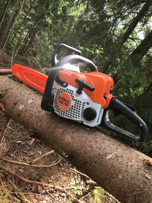 Motorsåg av märket STIHL placerad på en fälld trädgren i skogen.