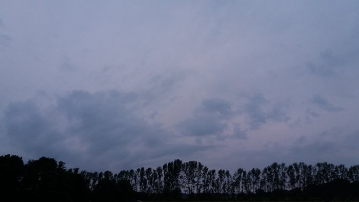 Mulnig himmel utan regn eller åska ovanför en rad med träd vid skymning.