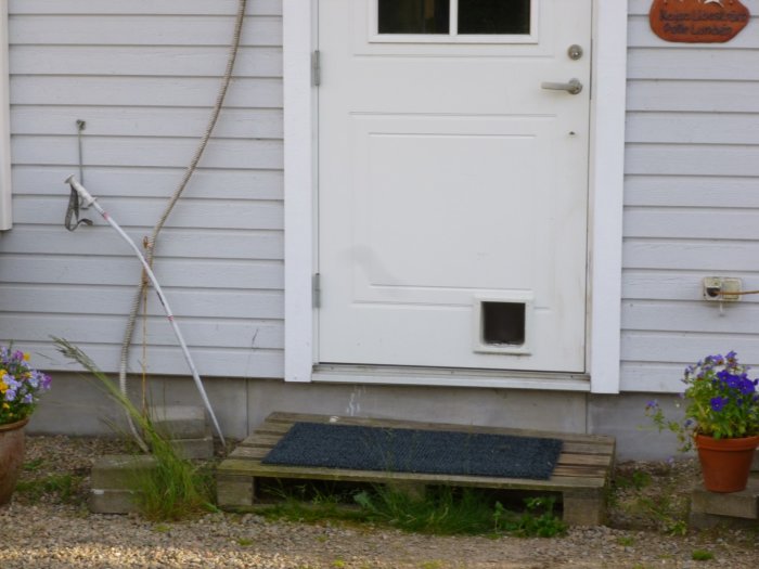 Enkel vit dörr med kattlucka, provisoriska trästeg och välkomnmatta vid entrén omgiven av krukväxter.