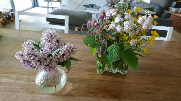 Två vaser med vildblommor på träbord, en med dvärgsyren, den andra med blandade blomster från trädgården.