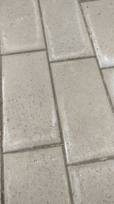 Stenplattor på marken med några fogar där fyllningsmaterial saknas.