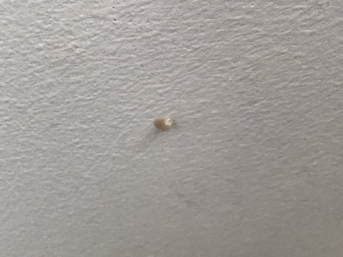 Close-up av ett tak med knottrig struktur och en synlig bula.